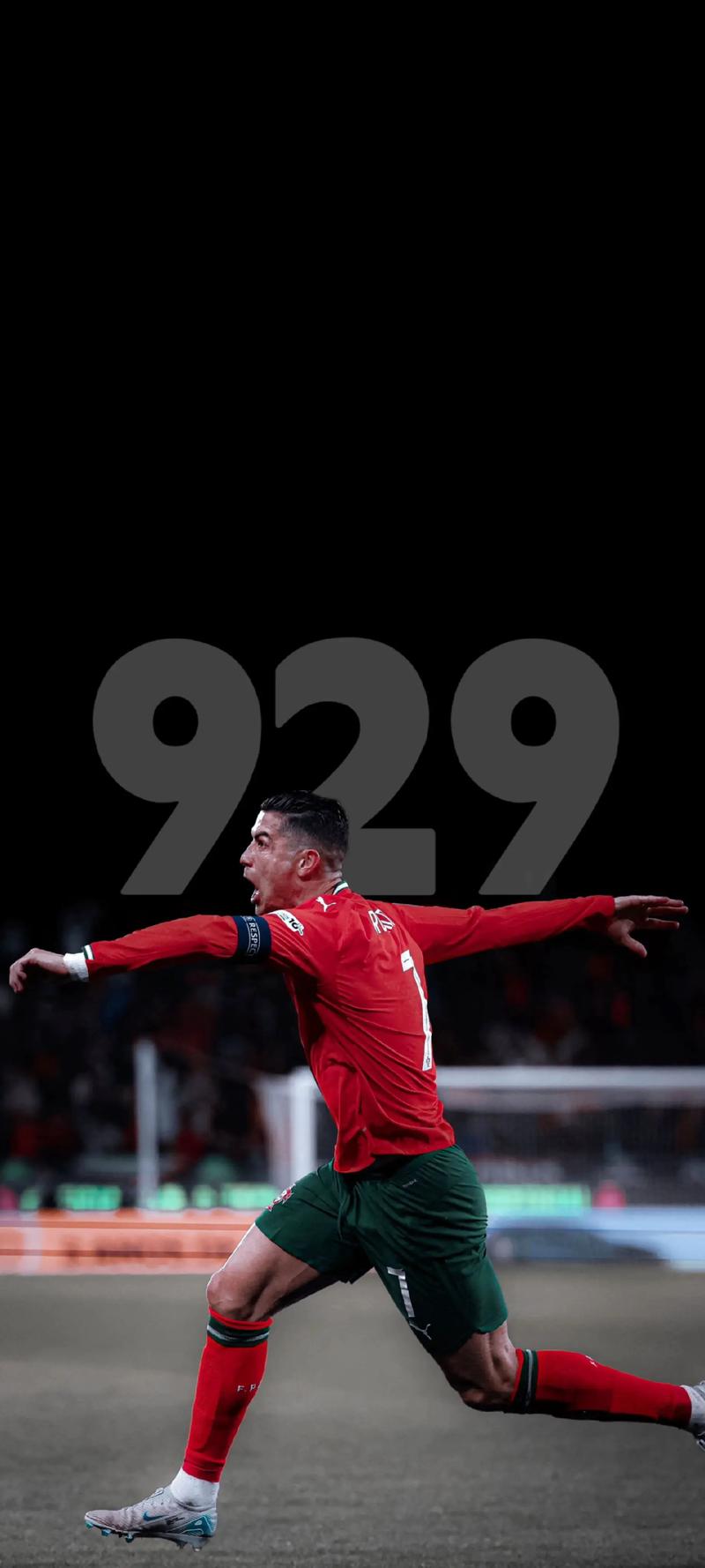 词并不只在 词并不只在